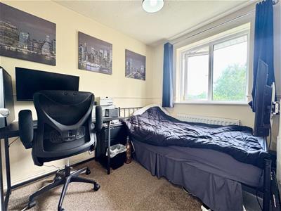 Picture 8